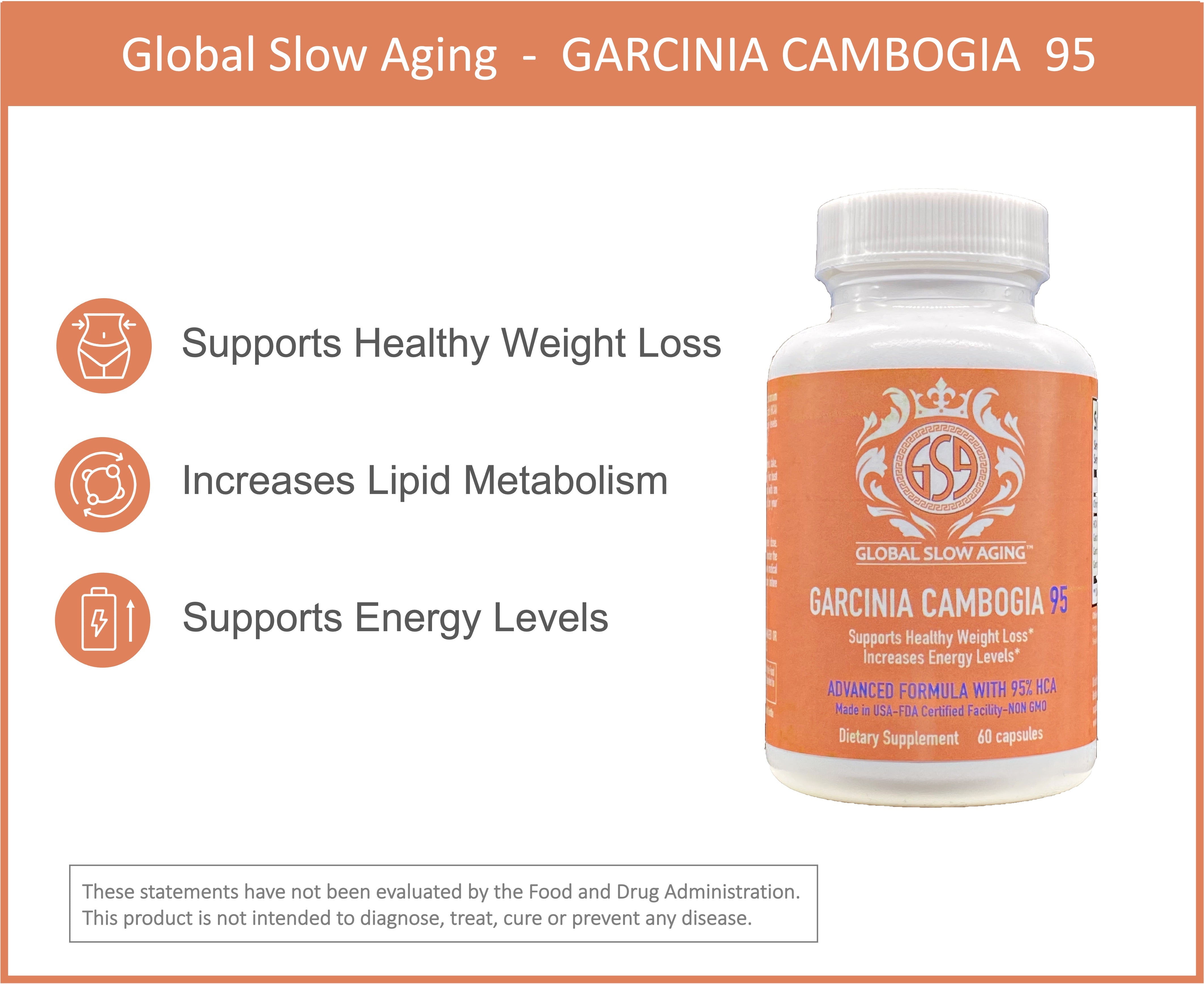 GSA Garcinia Cambogia 95